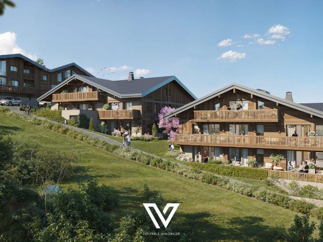 Appartement vente à Plommaz, Combloux