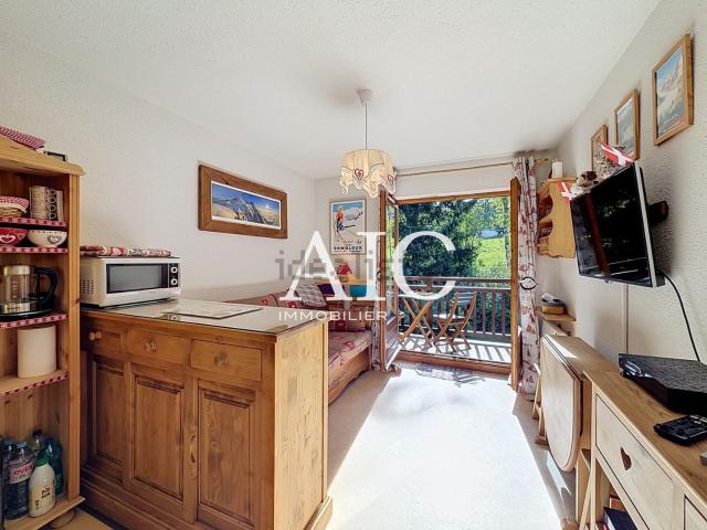 Appartement vente à Basseville, Combloux