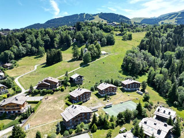 Appartement vente à Bonneville, Megève