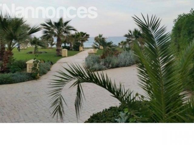 Appartement vente