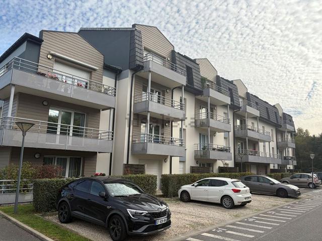 Appartement location à Courchelettes, Nord