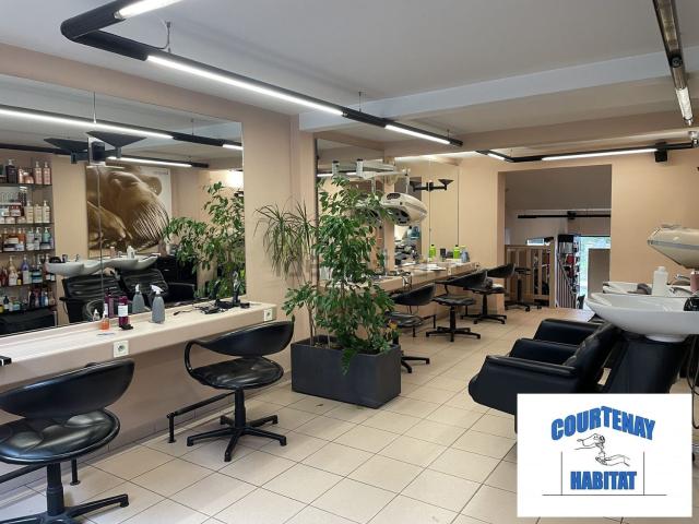 Appartement vente à Courtenay, Loiret