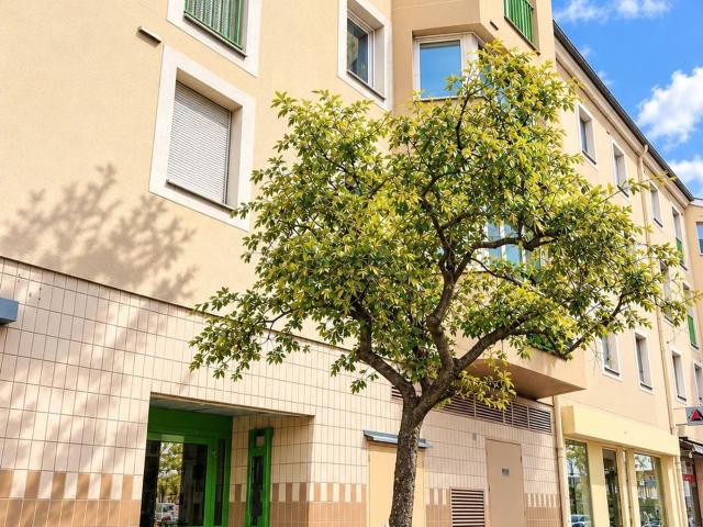 Appartement vente à Centre Ancien - Chenevier - Déménitroux, Créteil