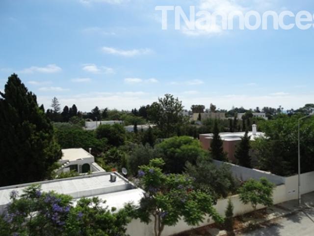 Appartement location