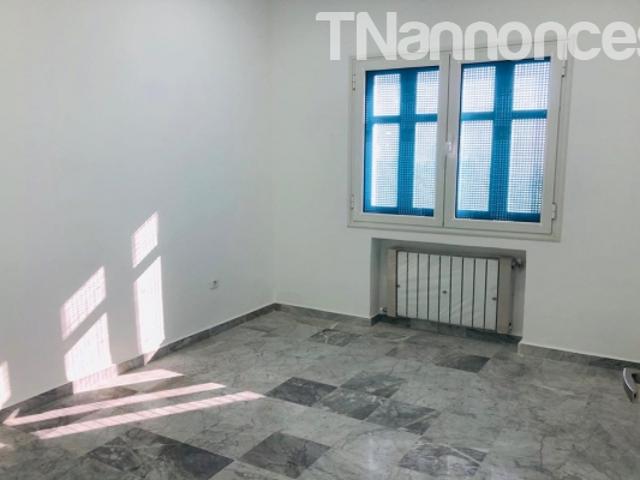 Appartement location