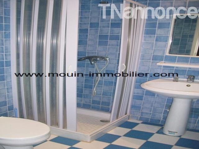 Appartement vente