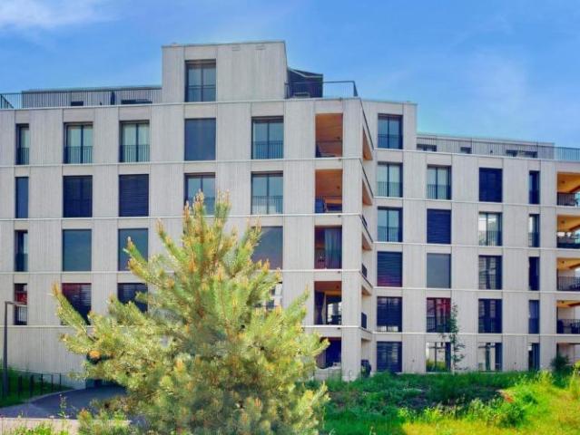 Apartment mieten in Uster, Zürich
