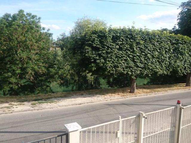 Appartement location à Le Raincy, Gournay-sur-marne