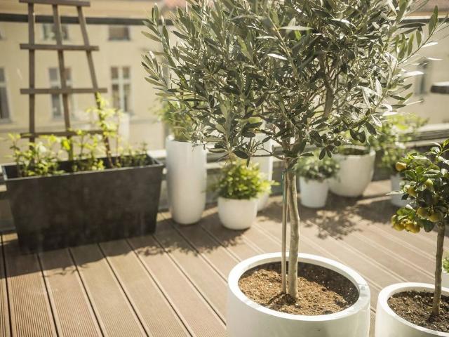 Appartement vente à Antony, Montrouge