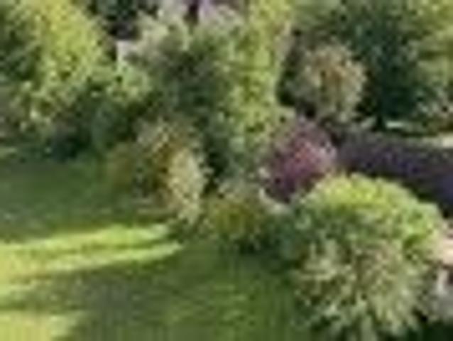 Apartment mieten in Cortaillod