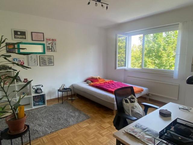 Apartment mieten in Ecublens (FR), Waadt