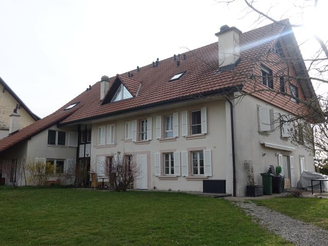 Apartment mieten in Romont (FR), Freiburg