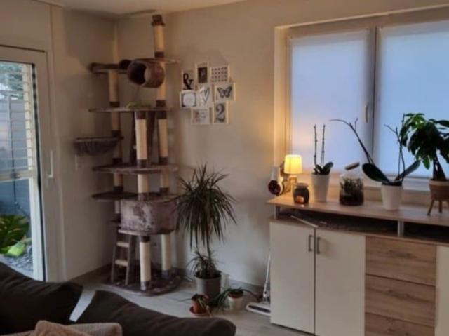Apartment mieten in Forel (Lavaux), District de Lavaux-Oron