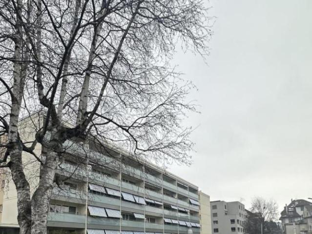 Apartment mieten in Payerne, District de la Broye-Vully