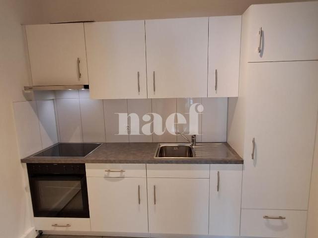 Apartment mieten in La Chaux-de-Fonds