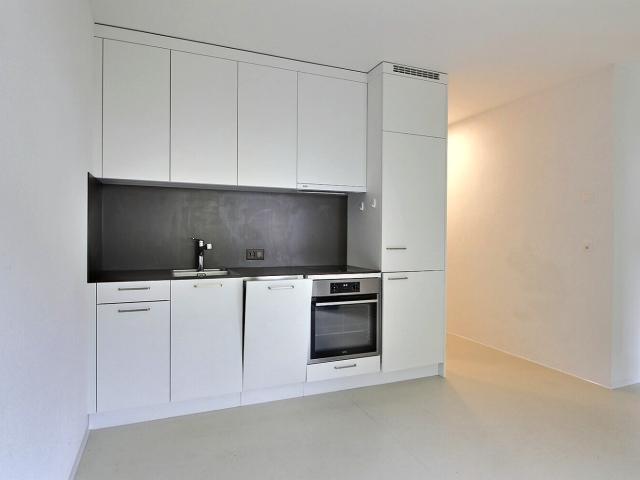 Apartment mieten in Les Mayens-de-Sion, Wallis