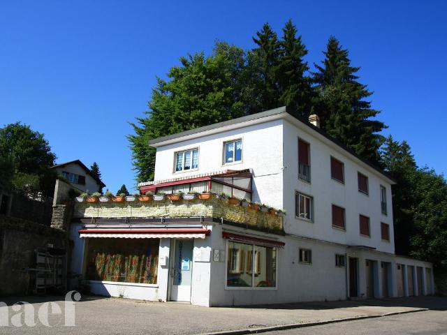Apartment mieten in La Chaux-de-Fonds
