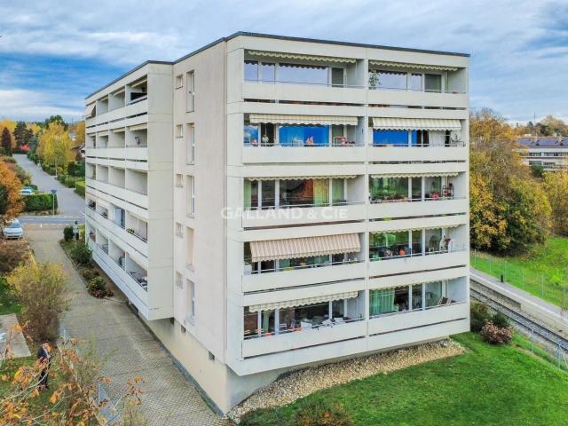 Apartment mieten in Morges, Waadt