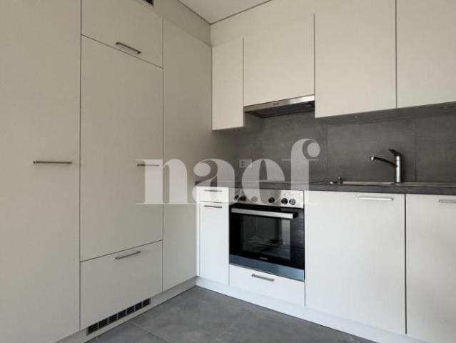 Apartment mieten in Neuchâtel, Corcelles (NE)