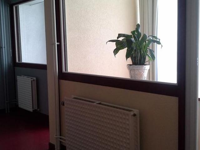Appartement location à Roanne