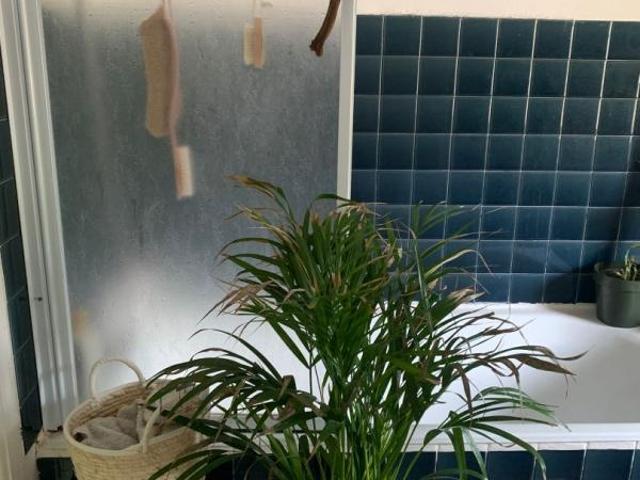 Appartement location à Nantes