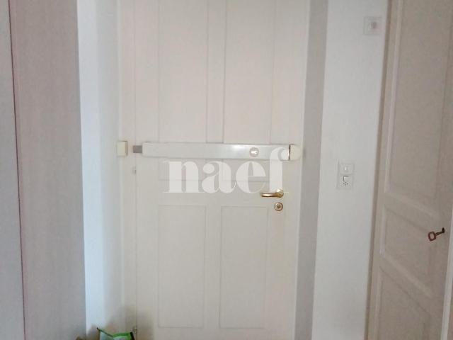 Apartment mieten in Carouge (GE)
