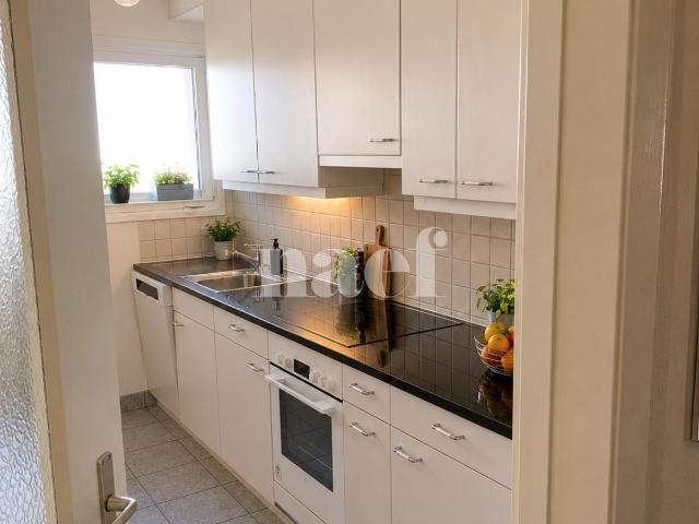 Apartment mieten in Orbe, Waadt