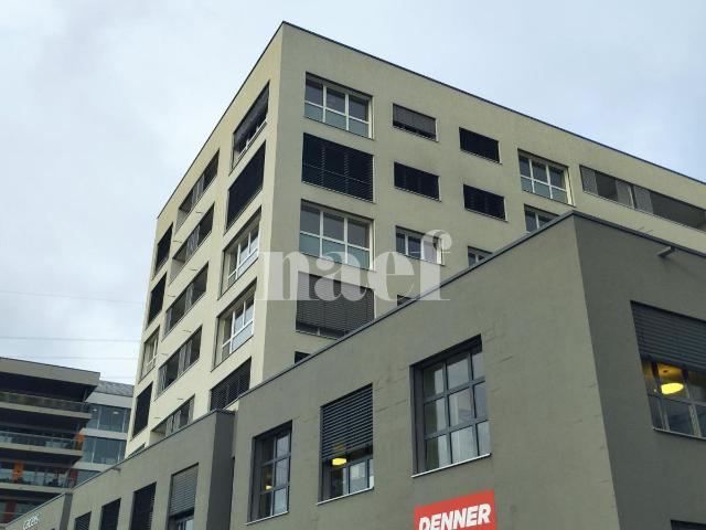 Apartment mieten in Nyon, Waadt