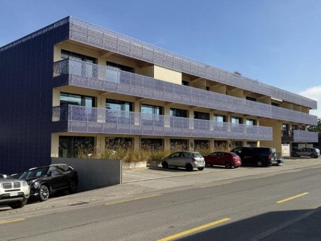 Apartment mieten in Nyon, District de Nyon
