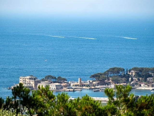 Appartement vente à Arrondissement de Toulon, Bandol