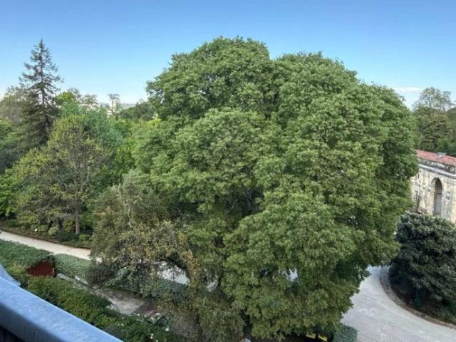 Appartement vente à Bordeaux