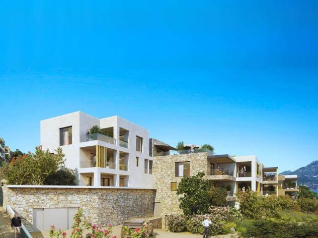 Appartement vente à Calvi