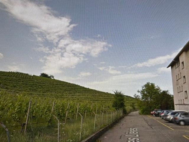 Apartment mieten in Areuse