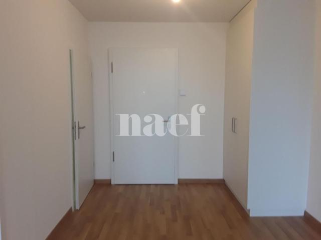Apartment mieten in Le Petit-Saconnex, Genève