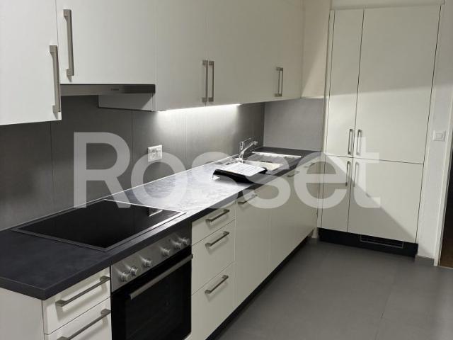 Apartment mieten in Publoz, Puidoux
