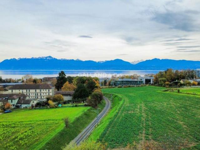 Apartment mieten in Morges, Waadt