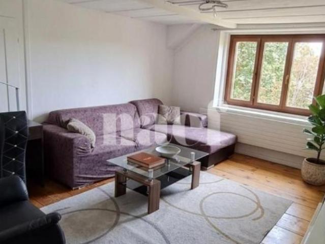Apartment mieten in La Chaux-de-Fonds