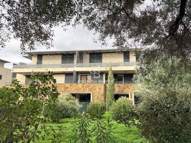 Appartement vente à Sartène, Zonza