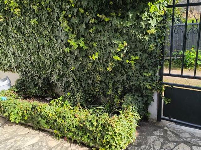 Appartement location à Saint-Denis, Epinay-sur-seine