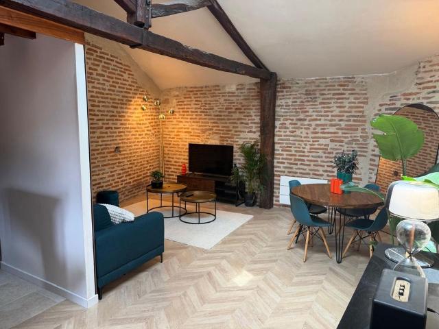 Appartement location à Albi