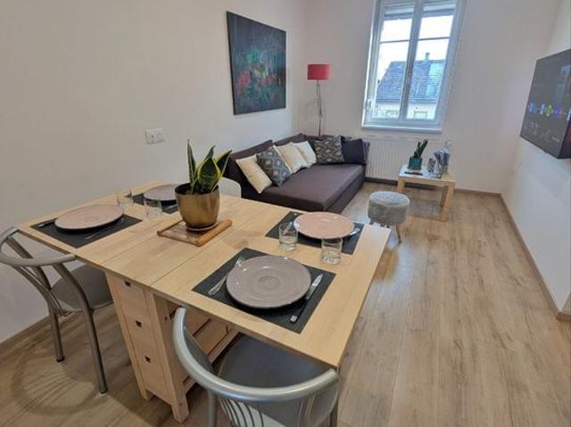 Appartement location à Strasbourg, Schiltigheim