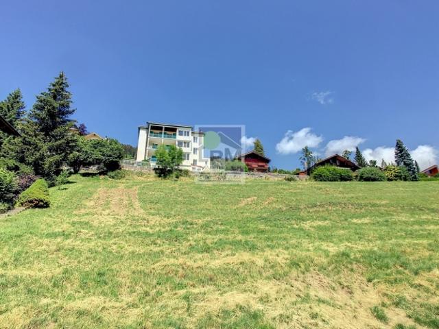 Wohnung kaufen in Leysin, Waadt