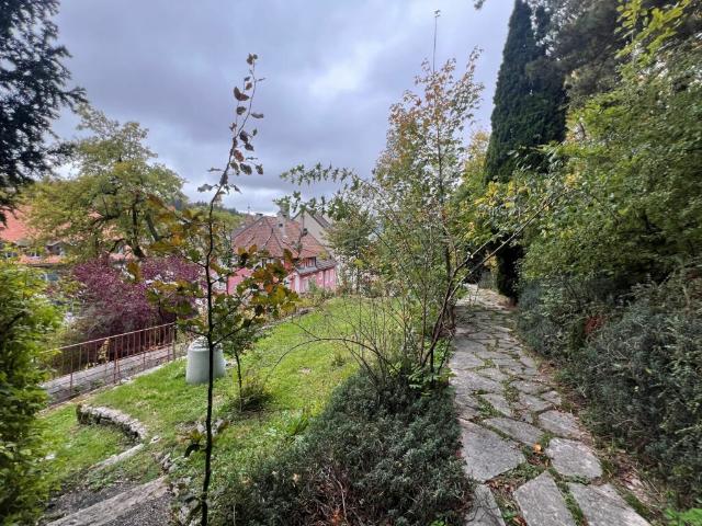 Wohnung mieten in Le Locle