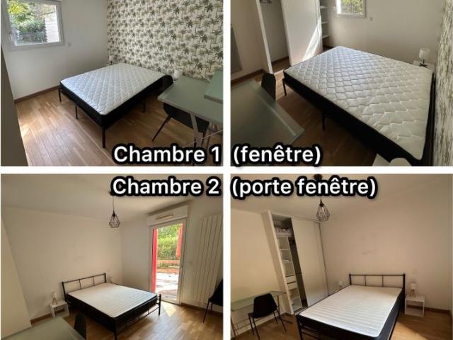 Appartement location à Bayonne