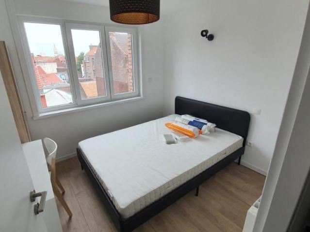 Appartement location à Lille