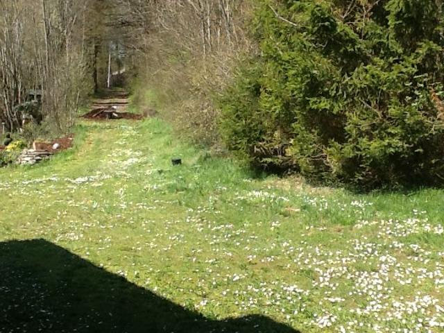 Appartement location à Altkirch, Raedersdorf