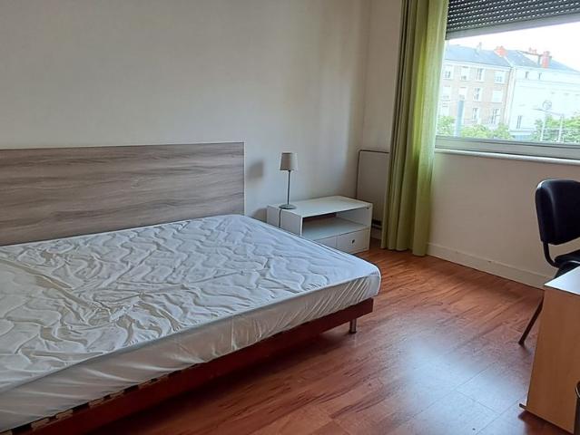 Appartement location à Doutre-Saint-Jacques-Nazareth, Angers