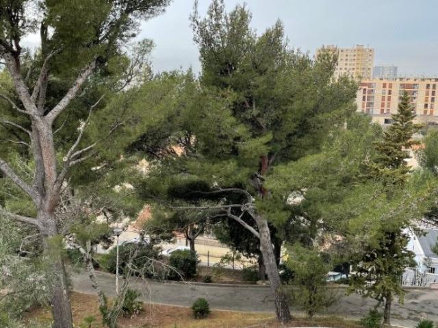 Appartement location à Les Aygalades, Marseille