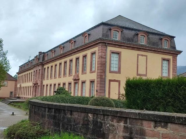 Appartement location à Saint-Dié-des-Vosges, Senones