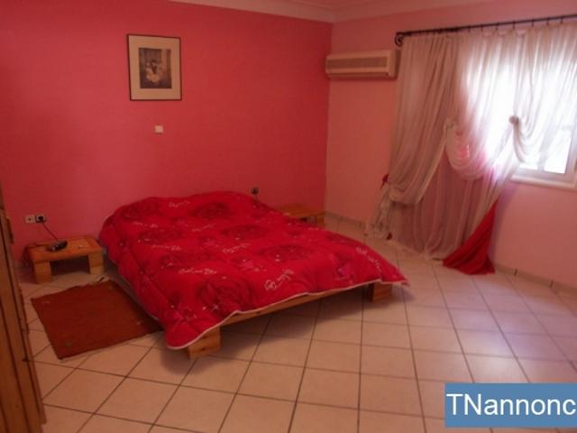 Appartement location
